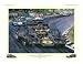 "Black and Gold Victory" Racing Print Autographed By Emerson Fittipaldi
