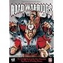 Road Warriors: The Life and Death of the Most Dominant Tag-Team in Wrestling History