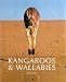 Book Kangaroos & Wallabies of Australia