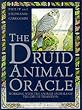 The Druid Animal Oracle
