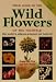 Field Guide to the Wild Flowers of the Highveld: Also Useful in Adjacent Grassland and Bushveld (Photographic Field Guides)