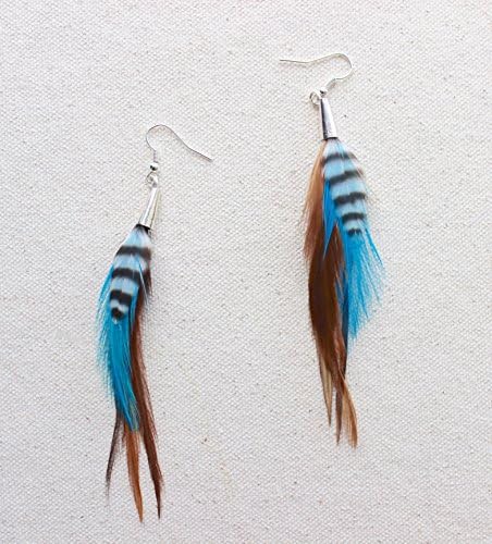Beach Blue &amp; Brown Natural Feather Earrings