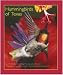 Books : Hummingbirds of Texas: With Their New Mexico And Arizona Ranges (Tam Nature Guides)