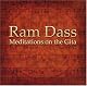 Meditations on the Gita