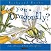 Book Are You a Dragonfly? (Backyard Books)