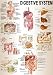 Five Different Medical Posters
