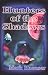 Book Hunters of the Shadows
