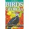 The World is Going to The Birds