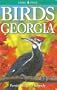 Birds of Georgia