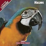 Eigenschaften Avonside Publishing Ltd.  / Kalender 2009 Ara - Aras - Macaws