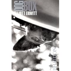Dog Box, Cartes postales