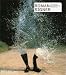 Roman Signer (Contemporary Artists (Phaidon))