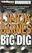 Book The Big Dig (Carlotta Carlyle)
