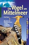 Die Vögel am Mittelmeer