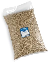 Coleridge Domestic Carapils Dextrin Malt, 10-Pound Bag