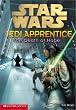 The Star Wars Jedi Apprentice #15: The Death Of Hope
