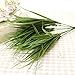 SSWQ Hot Selling 5 Forks Plastic Silk Flower Home Decor Grass Seedling Plants Artificial Plants Simulation Plant Chlorophytum Leaves