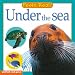 Under the Sea (Feels Real!)