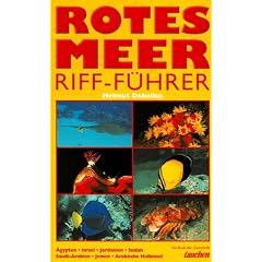 Riff-F�hrer Rotes Meer