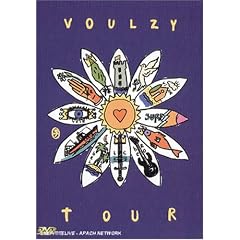 Laurent Voulzy : Tour 1993