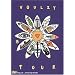 Laurent Voulzy : Tour 1993