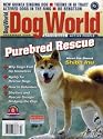 Dog World Magazine December 2006 Shiba Inu (Single Back Issue)