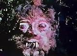 Curse of Bigfoot