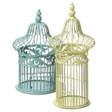 Seasons of Cannon Falls ~ Flutter and Flora Celery Green and Aqua Birdcage Set of 2