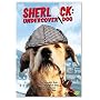 Sherlock - Undercover Dog