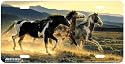 Three Amigo's - Western Wild Horse Decor Art Print - License Plate Tag By Nancy Glazier From Airstrike