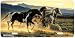 Three Amigo's - Western Wild Horse Decor Art Print - License Plate Tag By Nancy Glazi...