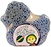 Circle of Friends Hans' Blueberry Sudsy Sponge, 3 oz.