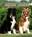 Border Collies Hardcover Weekly Engagement Calendar: 2004