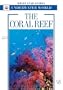 The Coral Reef: White Star Guides Underwater World