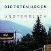 MUSIK VOM FEINSTEN