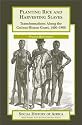 Planting Rice and Harvesting Slaves: Transformations along the Guinea-Bissau Coast,1400-1900 (Social History of Africa Series)