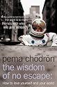 The Wisdom of No Escape and the Path of Loving Kindness: How to Love Yourself and Your World