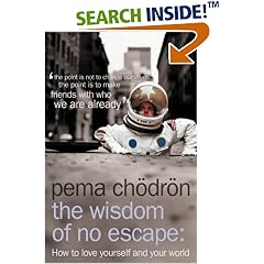 The Wisdom of No Escape and the Path of Loving Kindness