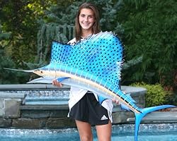 Giant Taxidermy Quality Sailfish FishTrophy Wall Mount