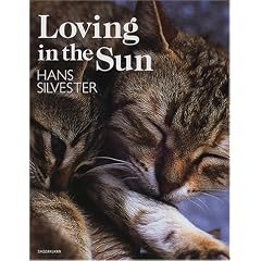 Loving in the Sun