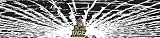 Central Florida Knights Shattered Auto Visor Decal