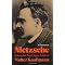 If you like Nietzsche, try...