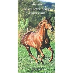 Le Quarter Horse, cheval unique et multiple