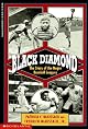 Black Diamond: The Story of the Negro Baseball Leagues