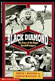 Black Diamond: The Story of the Negro Baseball Leagues