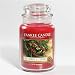 Yankee Candle - Red Berry & Cedar 14.5oz