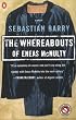 The Whereabouts of Eneas McNulty