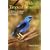 Birds of Tropical America: A Watcher's Introduction to Behavior, Breeding, and Diversity (Mildred Wyatt-Wold Series in Ornithology)