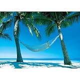 Paradise Beach Scene, Photography Poster Print, 24 by 36-Inch