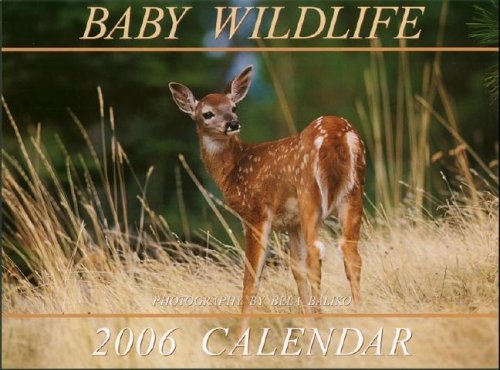 Baby Wildlife Mini